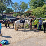 Die Kinder- und Jugendstiftung Hennef unterstützt auch im Schuljahr 2022/23 wieder das Reitprojekt „Schülerteam trifft Pferd“ der Richard-Schirrmann-Schule in Kooperation mit dem Wiesenhof in Hennef.